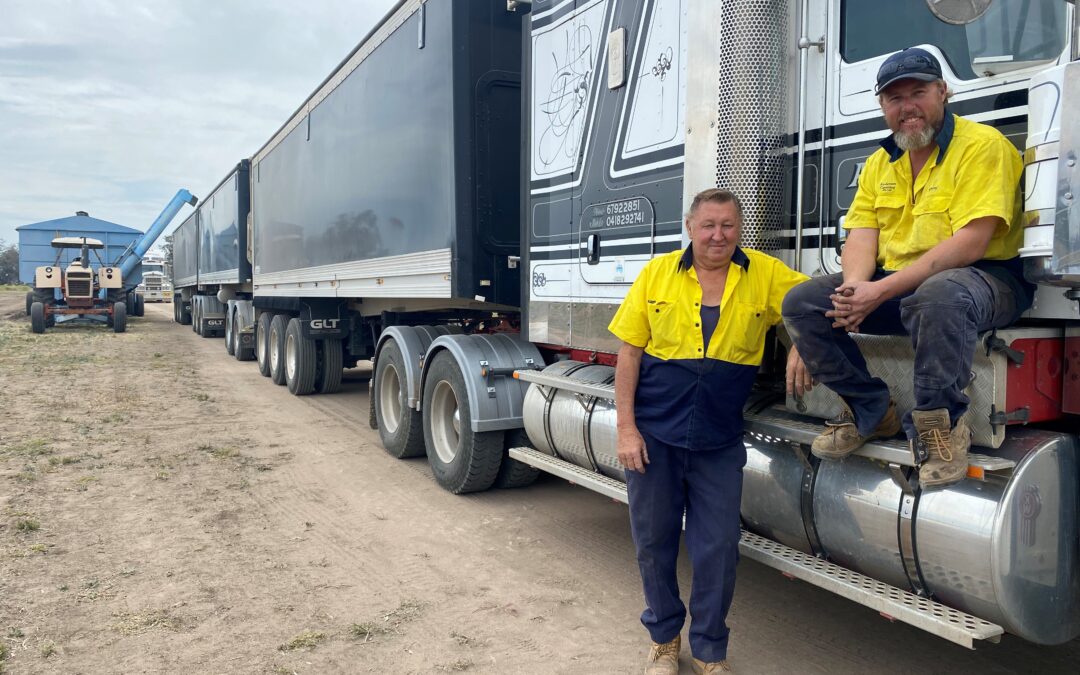 Truck drivers gearing up for loads of golden grain