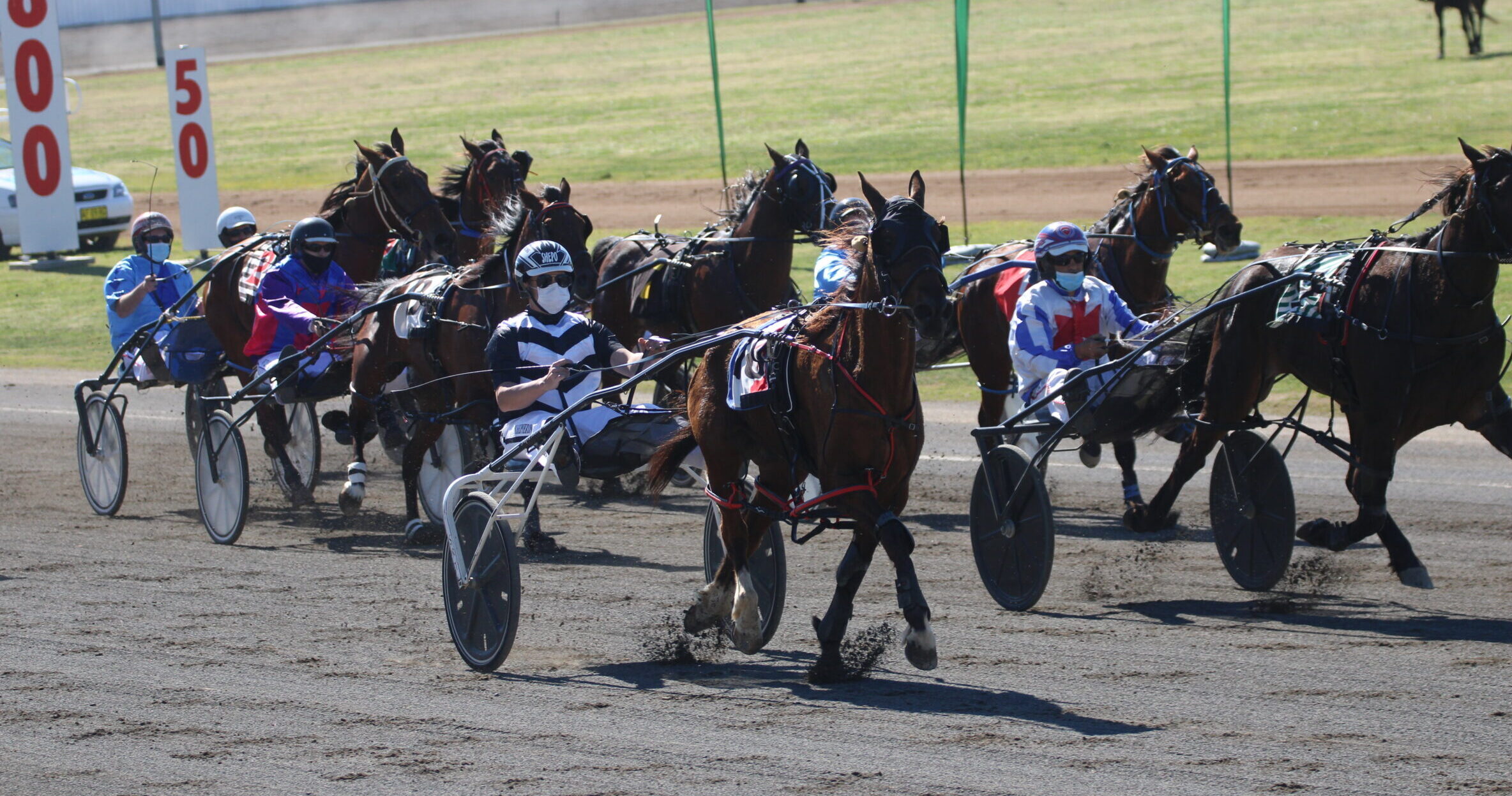 Narrabri pacer Killara Insanity races to victory in Tamworth