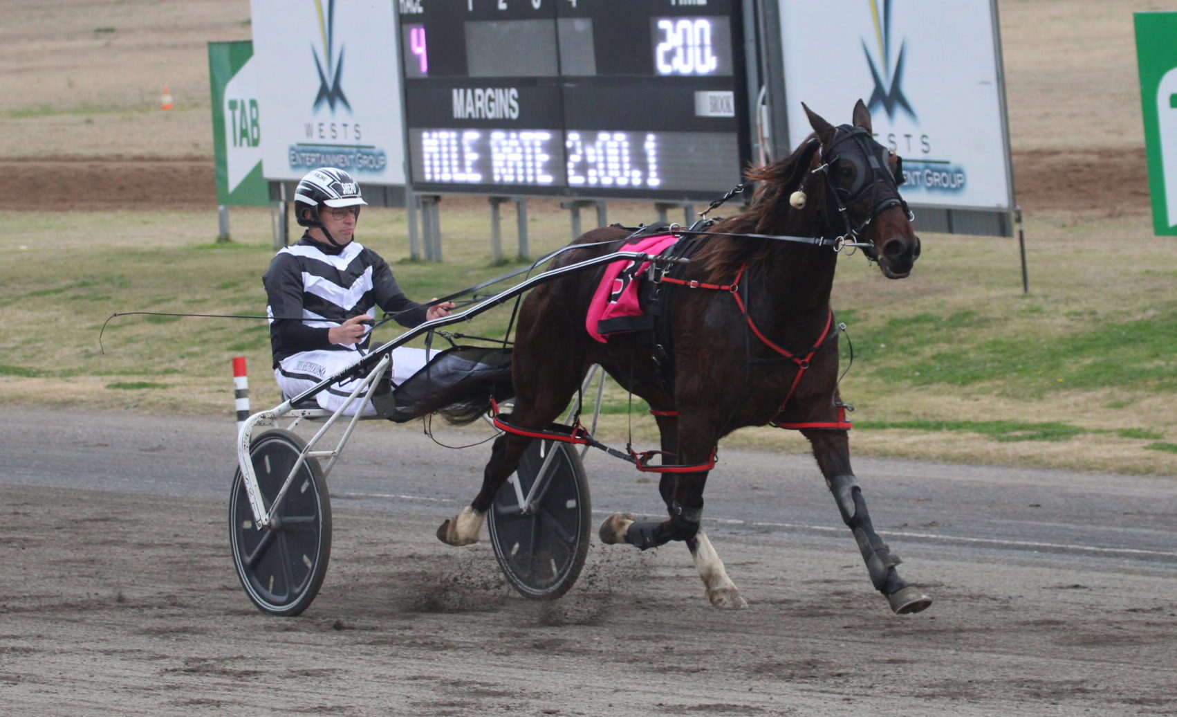 Chris Shepherdson drives to two second-placed finishes in Tamworth