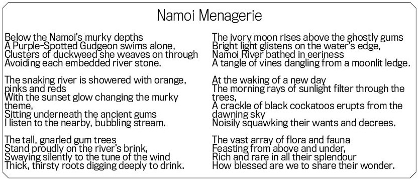 ‘Namoi Menagerie’ by Eileen Murphy.