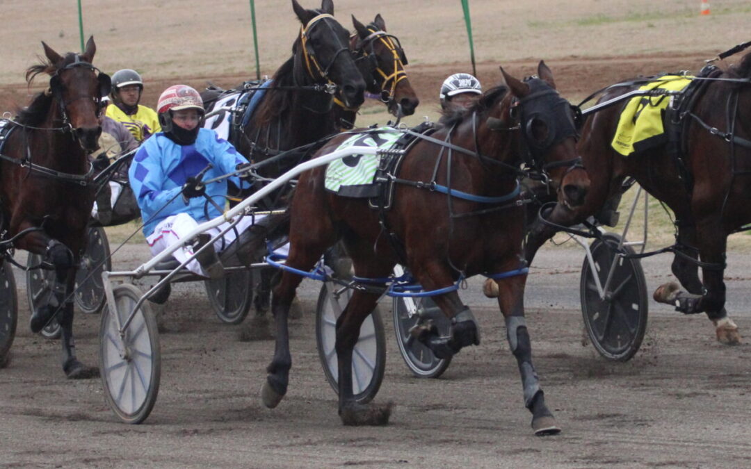 DOUBLE DELIGHT: Two Jarred Hetherington-trained pacers race to victory in Tamworth