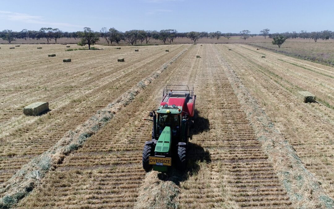 Making hay while the sun shines