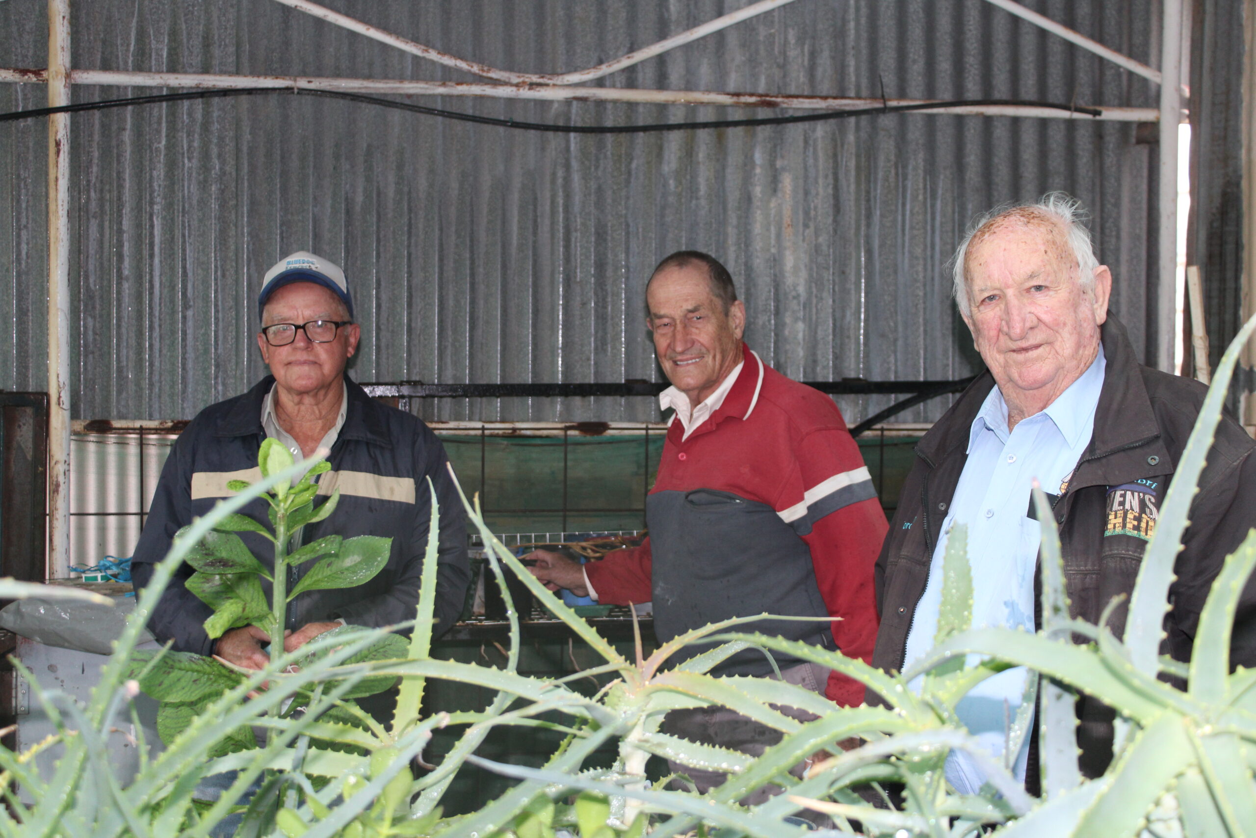 Ron Woods, Ian Schweitzer and Gordon Cain in the greenhouse.