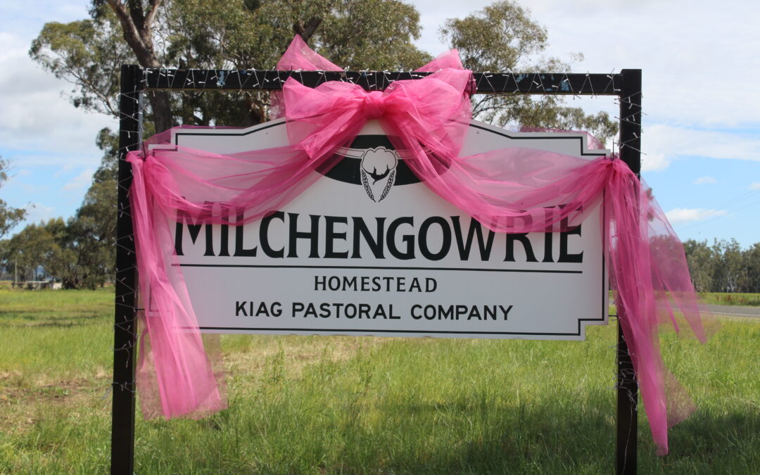 Boggabri’s Pink Up for breast cancer | PHOTOS