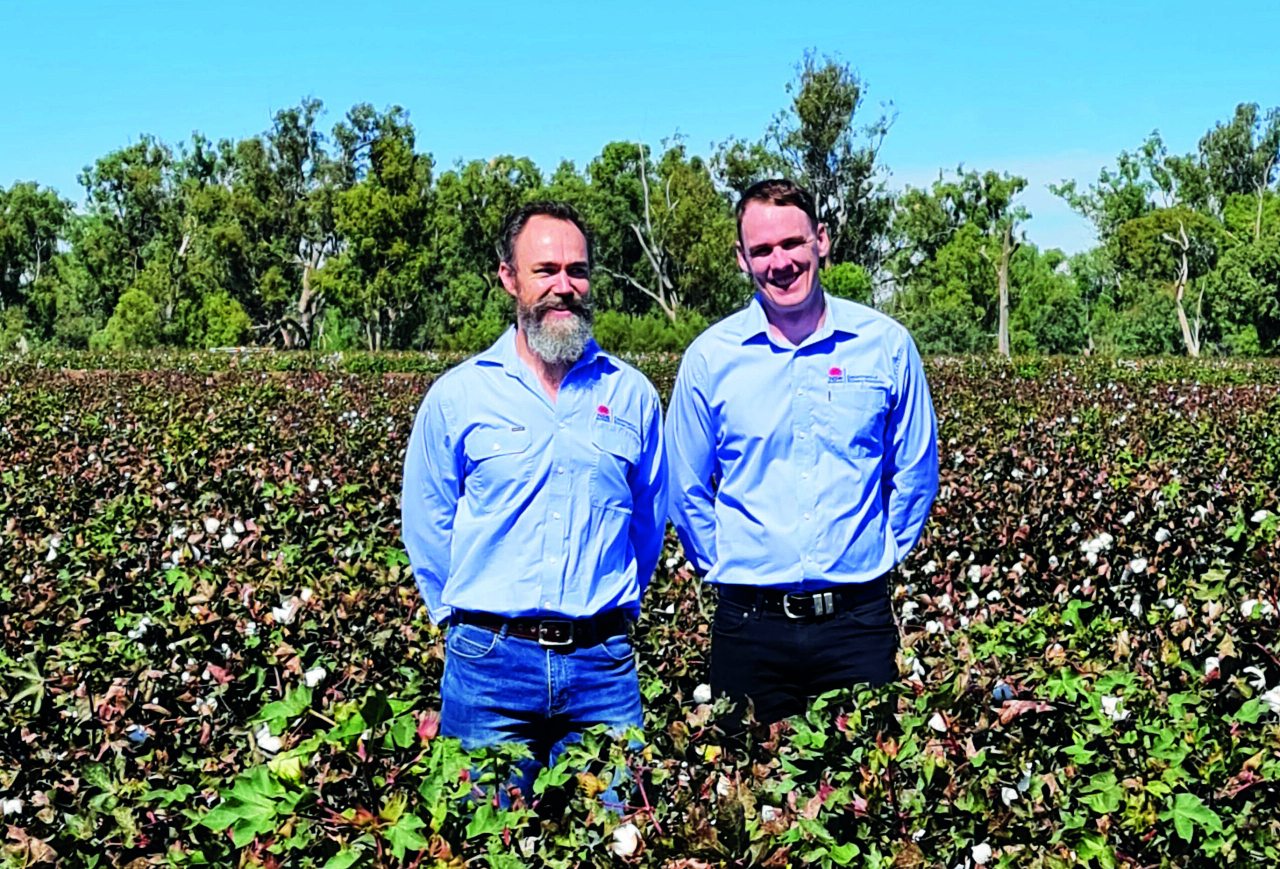 Responsible cotton farming shows improved water usage