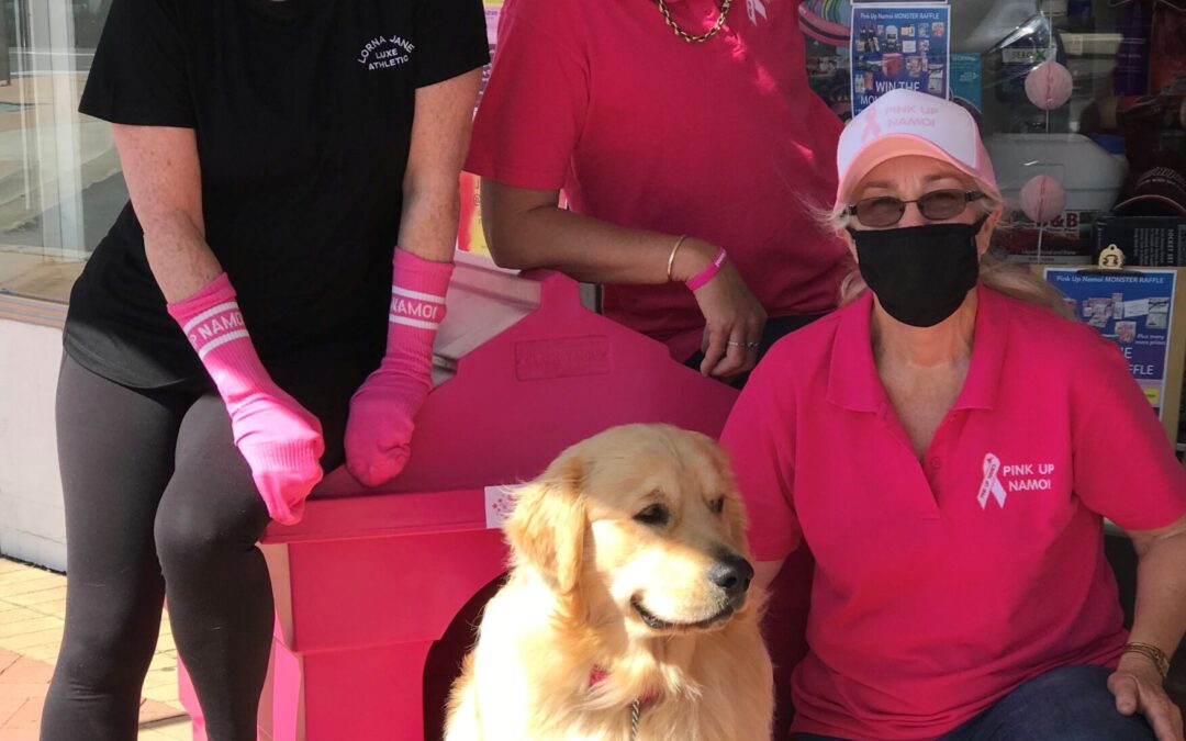 Pink Up Your Pooch event postponed