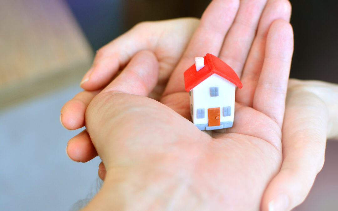 From cave dwellers to real estate moguls