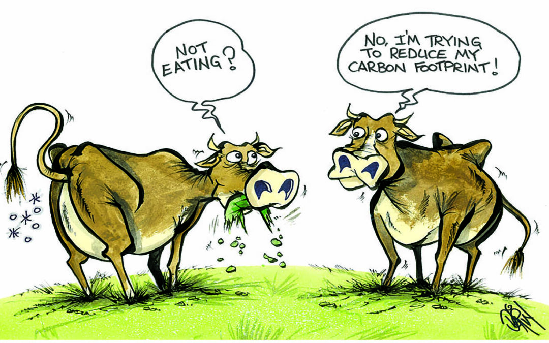 Cartoon 9/11/21