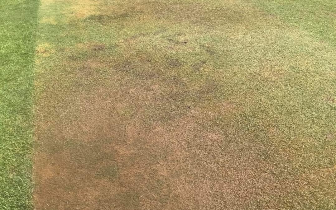 Rain washes away round one of the 2021-22 NDCA season