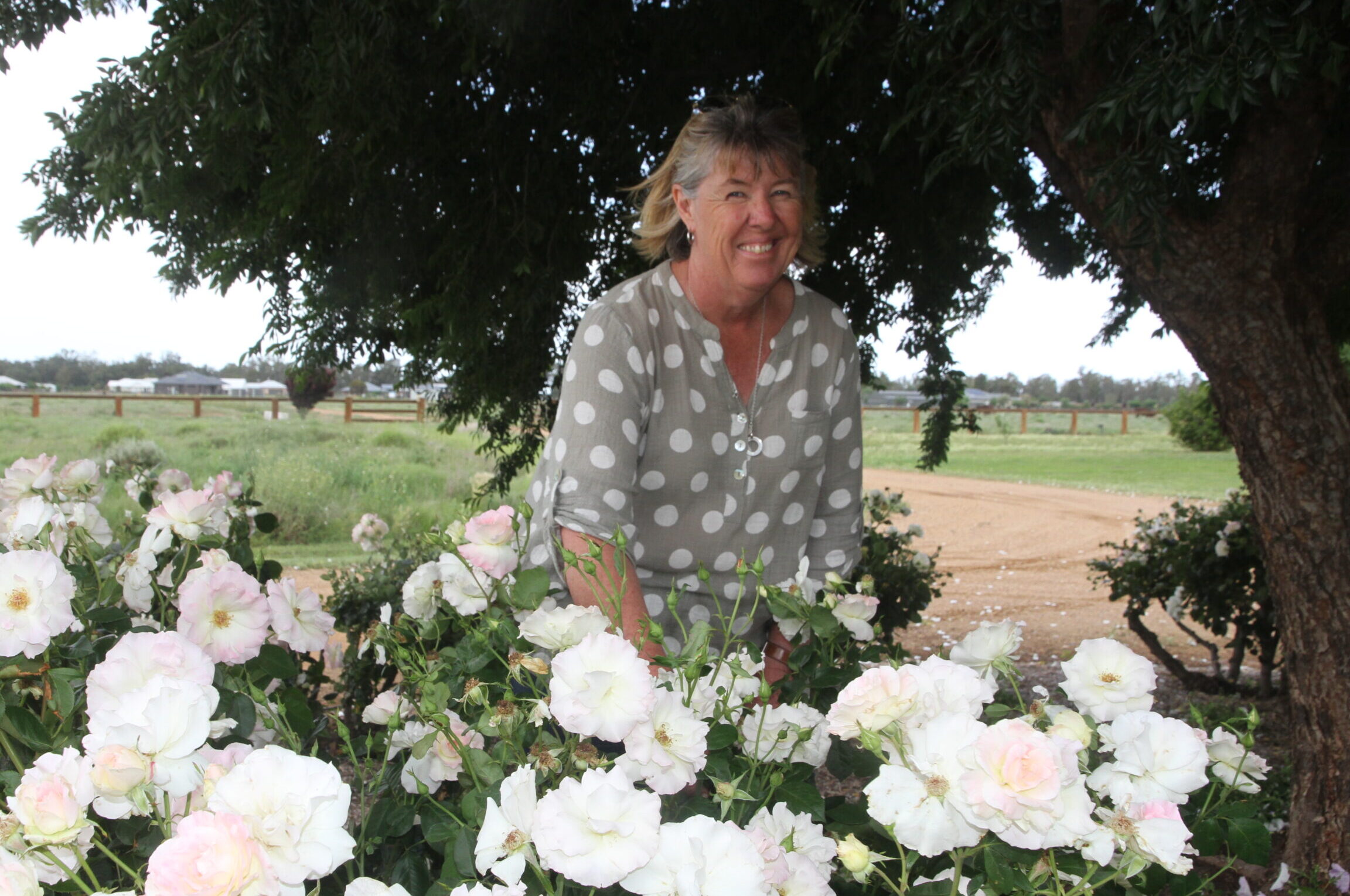 Much-loved flower show to return this weekend