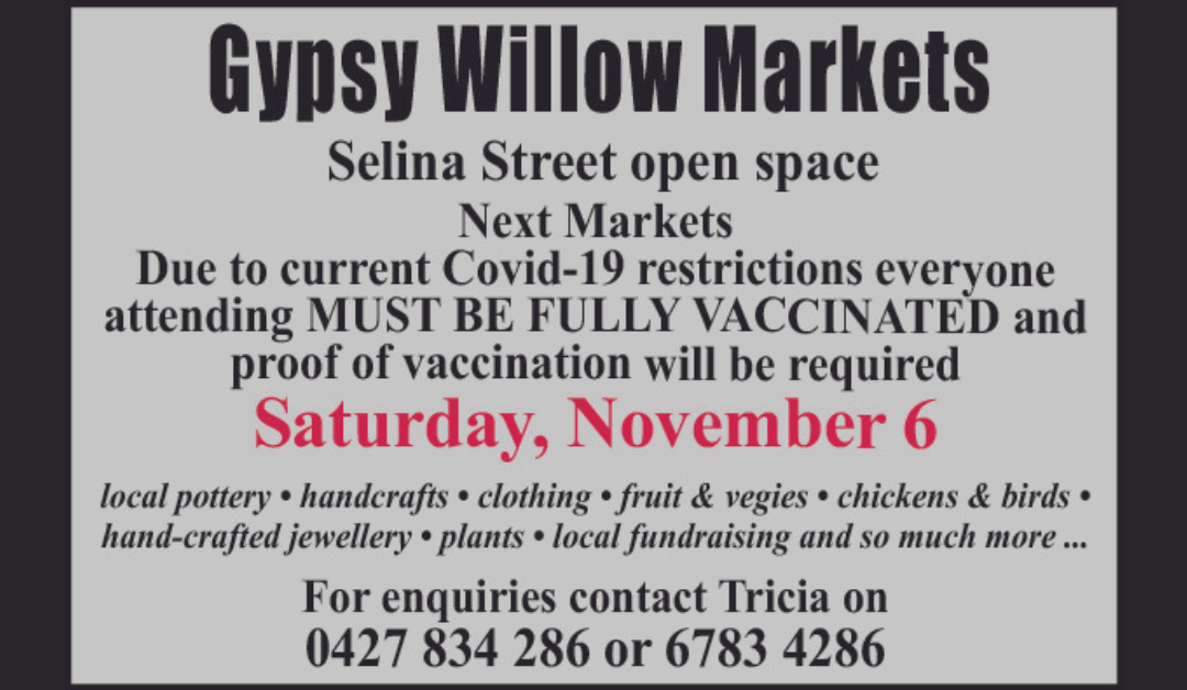 Selina Street market gets go-ahead for weekend