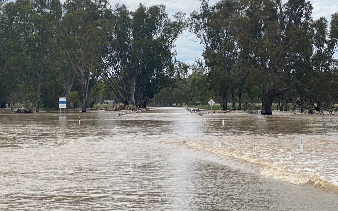 Minor flooding along Narrabri Creek, prolonged isolation likely for Wee Waa