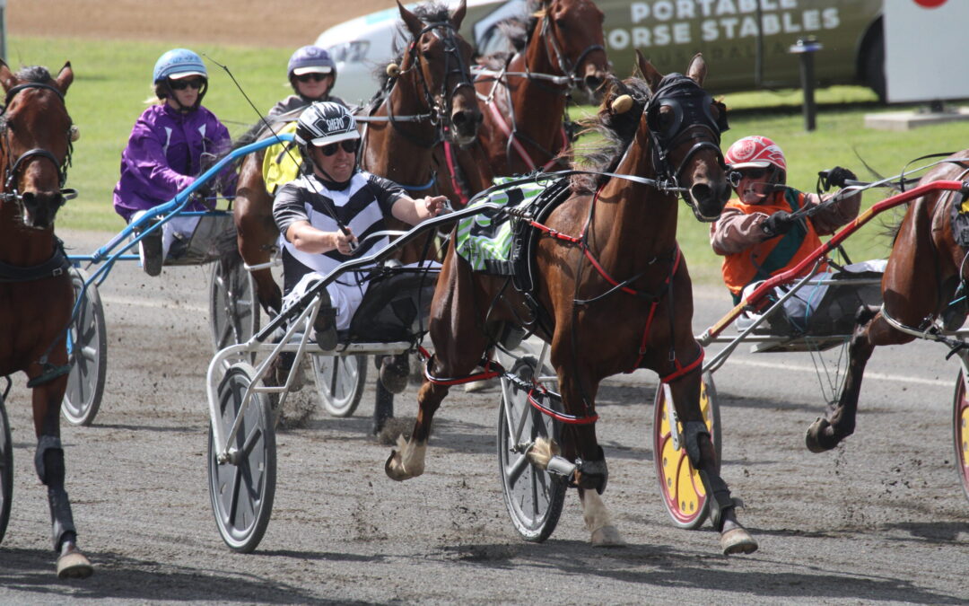 Three Narrabri pacers place at Tamworth meeting