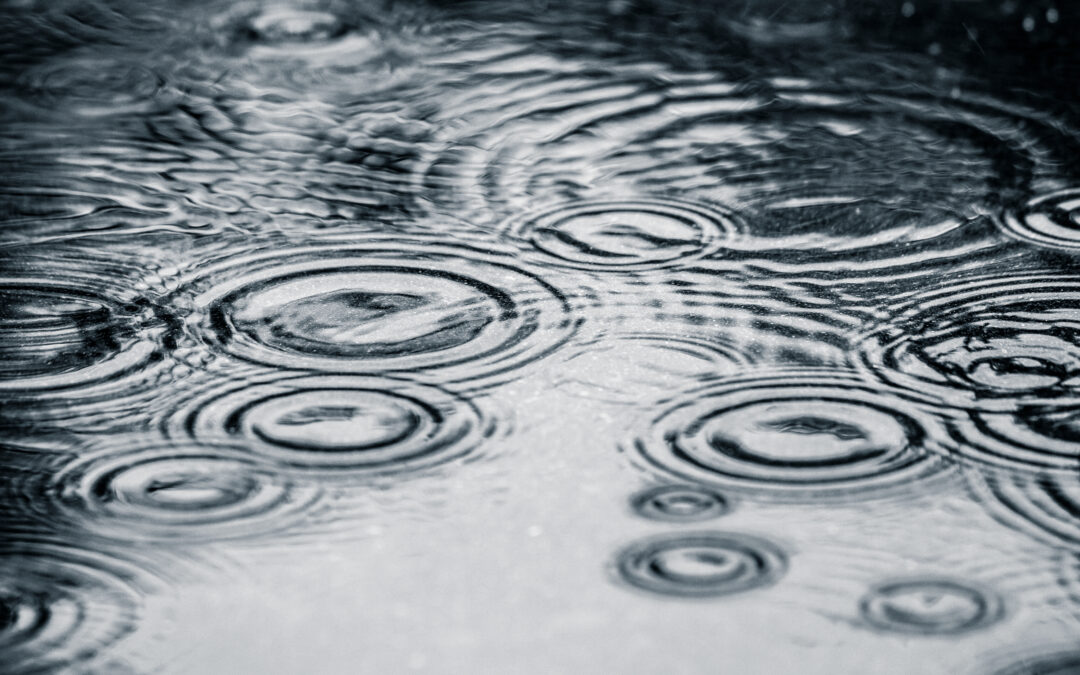 Flood watch issued for catchments across state, including the Namoi River