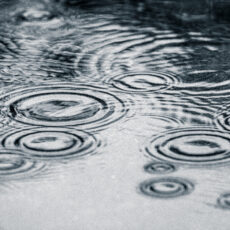 Water buyback consultation concerns