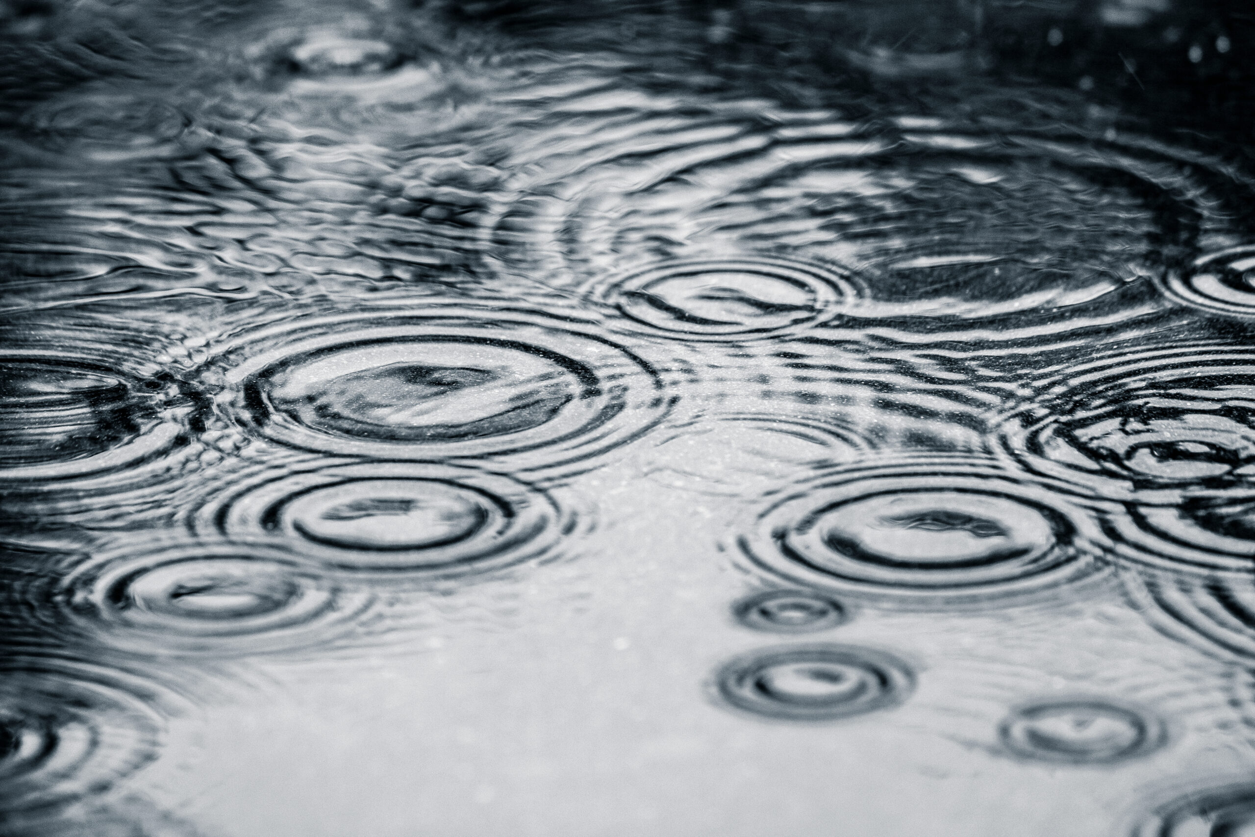 Water buyback consultation concerns