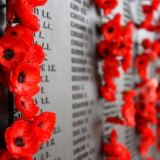 Narrabri to pause for Remembrance Day on Saturday