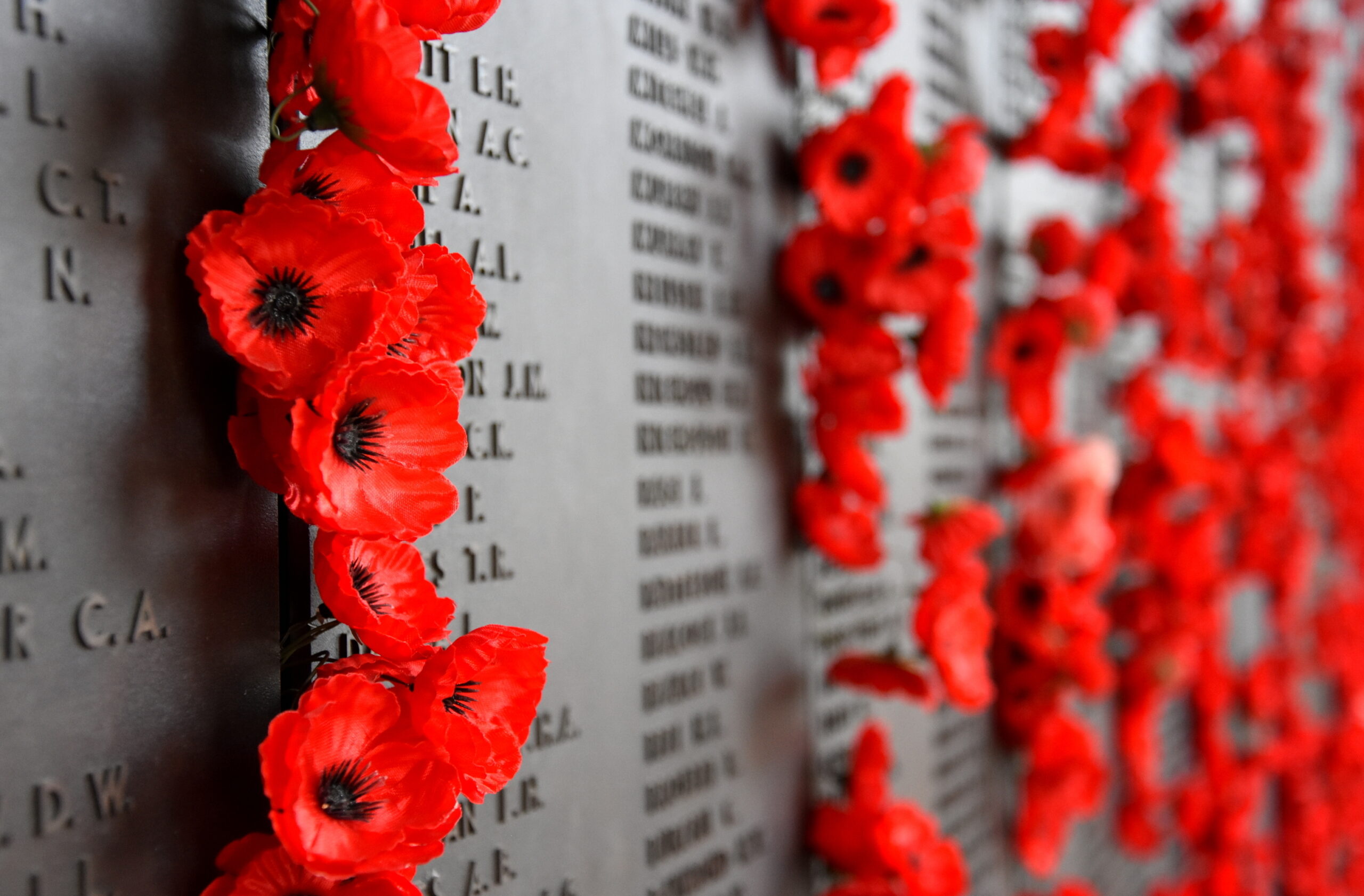 Remembrance Day service to go ahead in a modified form