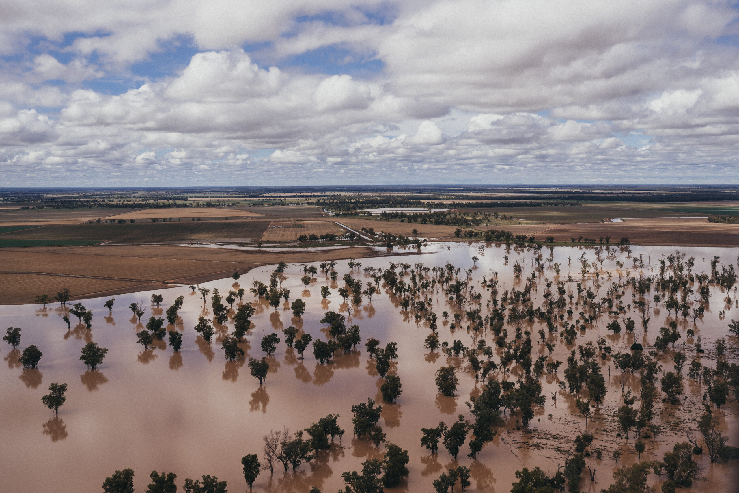 Minister for Agriculture Adam Marshall inspected the floods from the air and ground. Pictured is a paddock inundated with water near Wee Waa. 