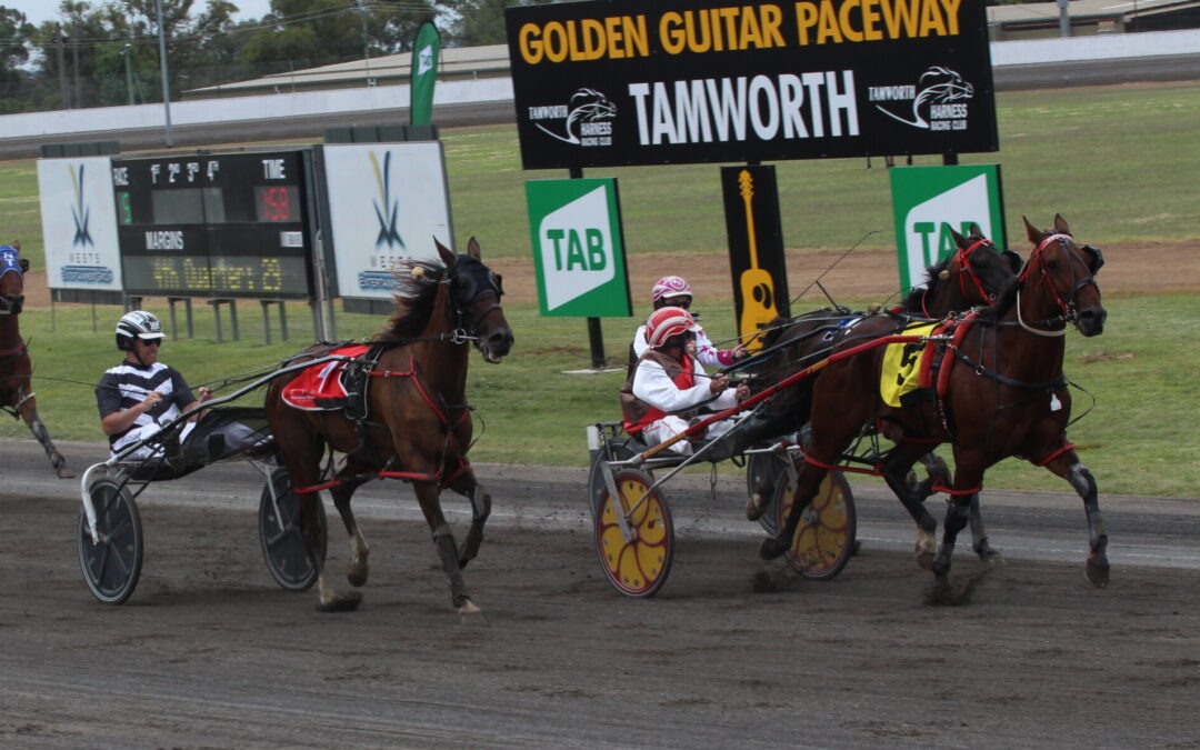 Killara Insanity places second at Tamworth meet
