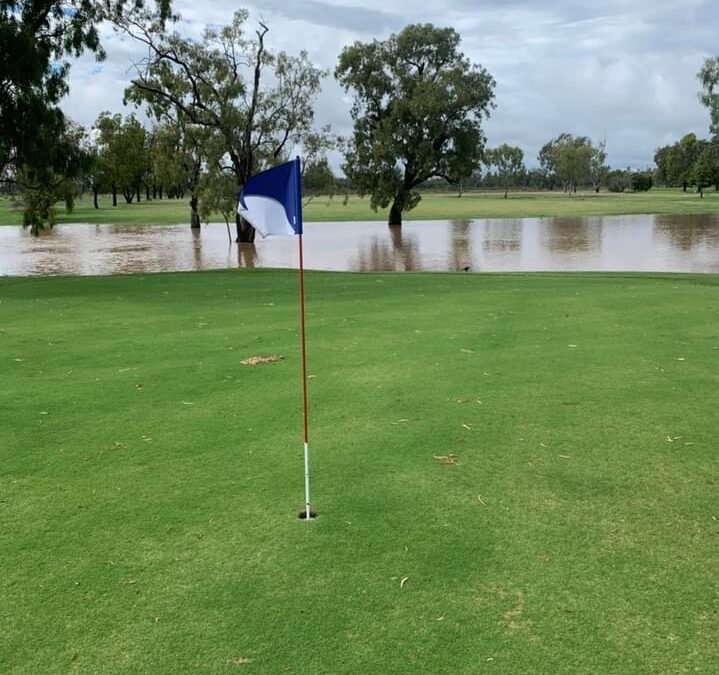 Bring your flippers to play at ‘Royal Wee Waa’