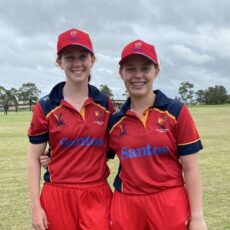 Alyssa’s stellar summer of cricket