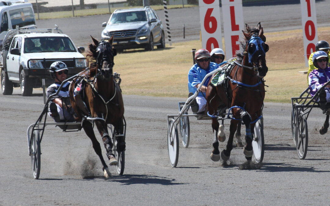 Local pacer Montana Nights races to two podium finishes in Tamworth