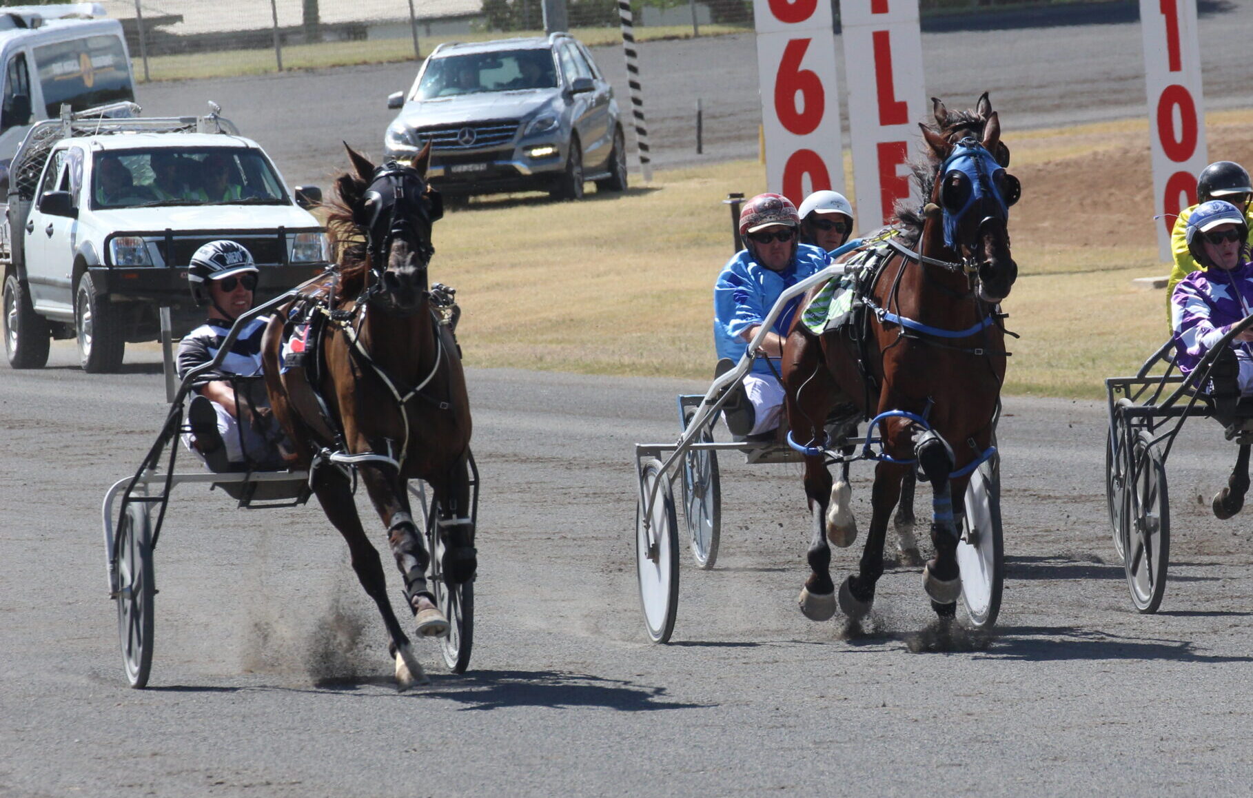 Local pacer Montana Nights races to two podium finishes in Tamworth