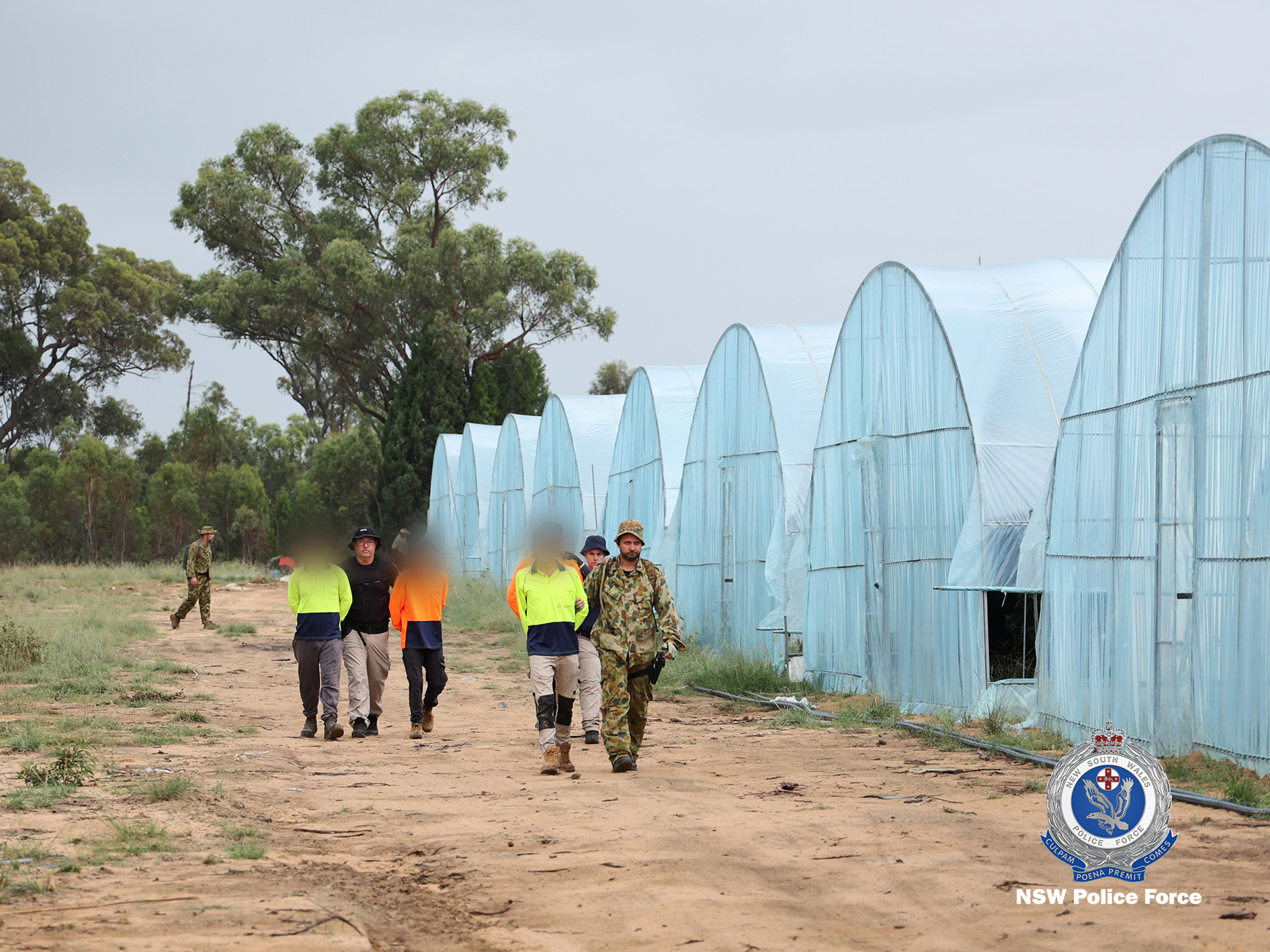 Six people have been charged after detectives allegedly seized a national record of cannabis at a rural property in the state’s west. Photo: NSW Police