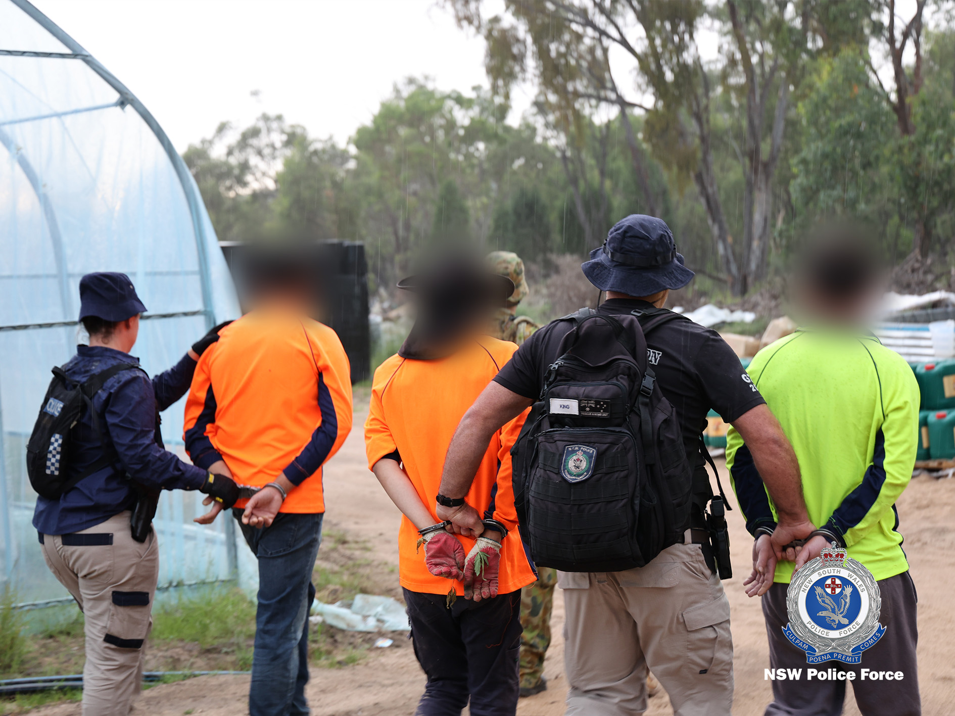 Six people have been charged after detectives allegedly seized a national record of cannabis at a rural property in the state’s west. Photo: NSW Police