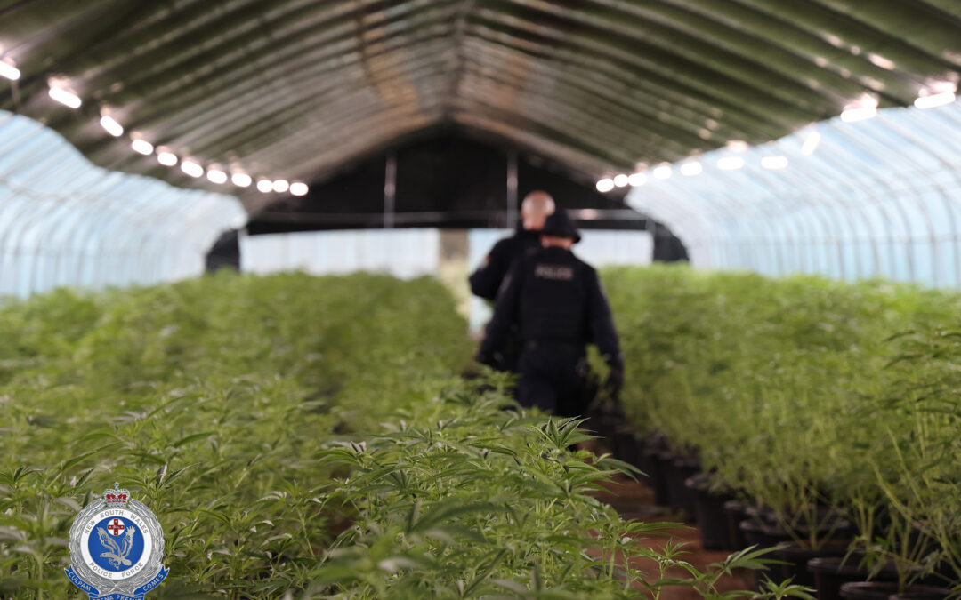 Record $67 million drug seizure