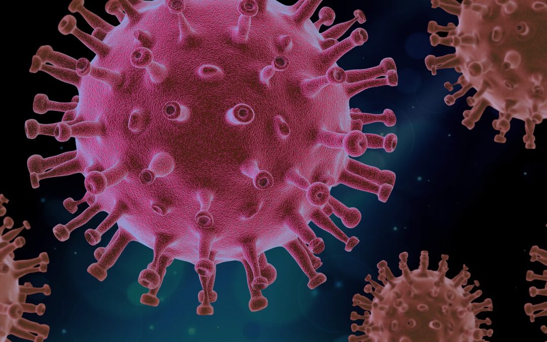 Fifteen new COVID cases reported for Narrabri Shire