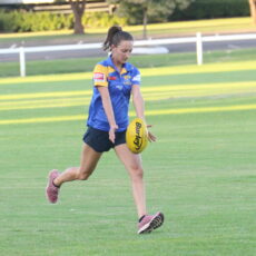 Narrabri Eagles to join forces with Moree Suns again this season