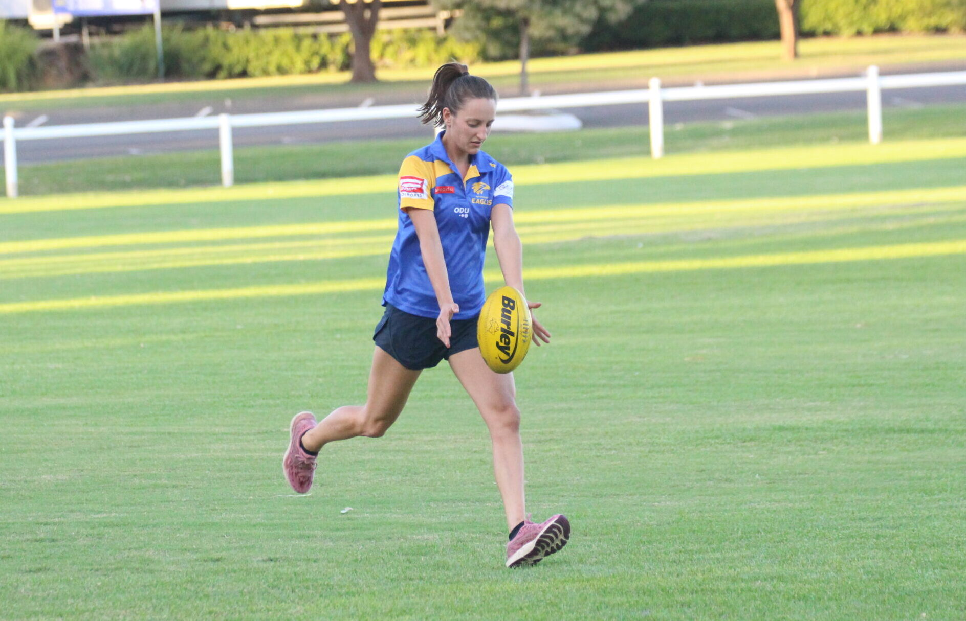 Narrabri Eagles to join forces with Moree Suns again this season