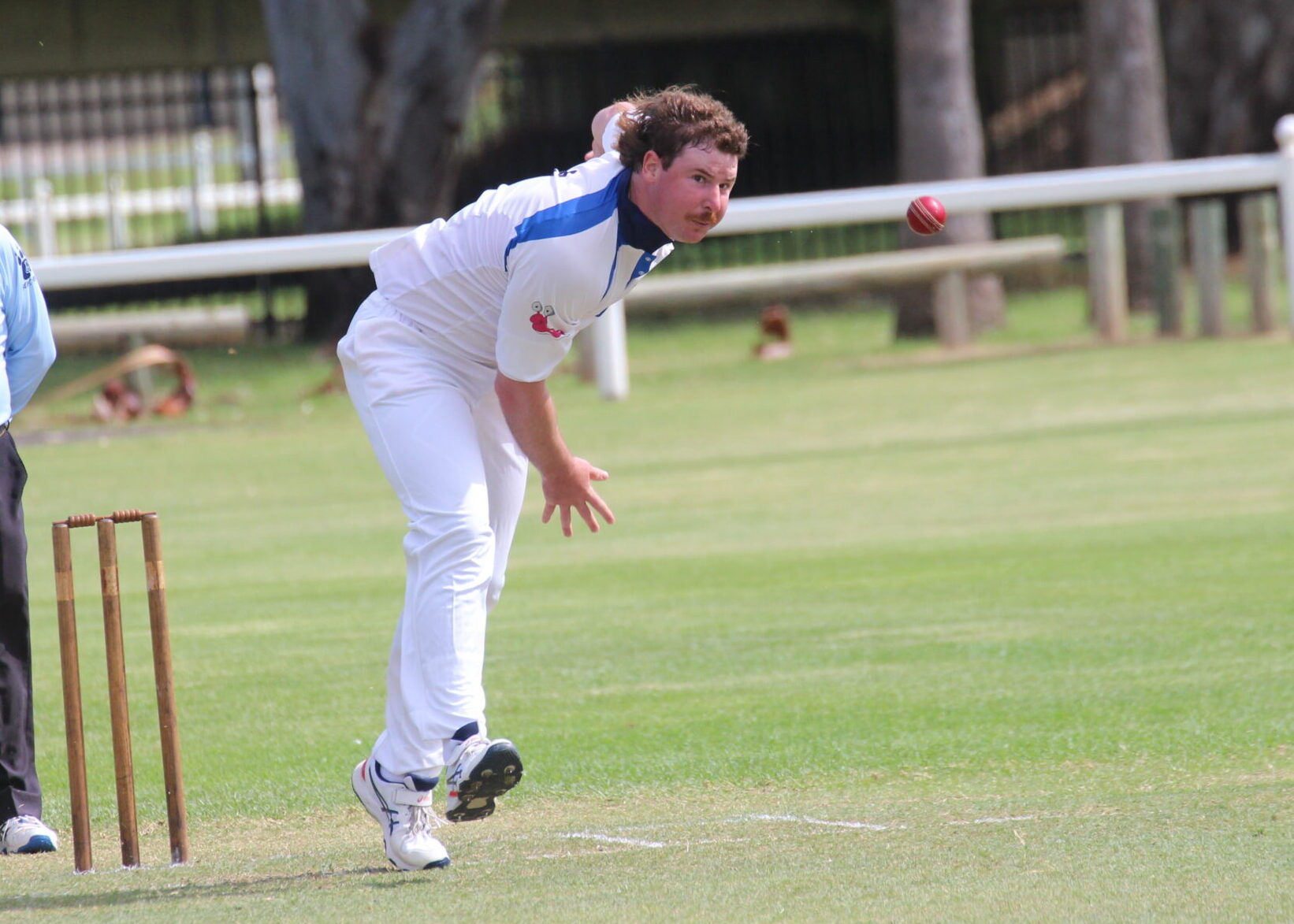 Trindall runs rampant as NDCA demolishes Quirindi in MA Connolly Cup final