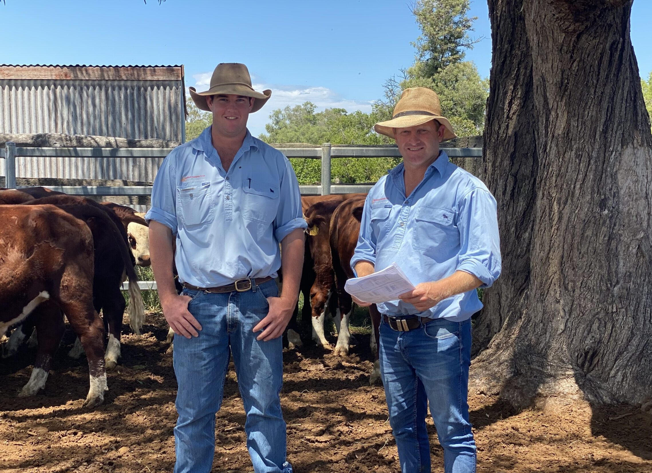 Cattle market strength to continue
