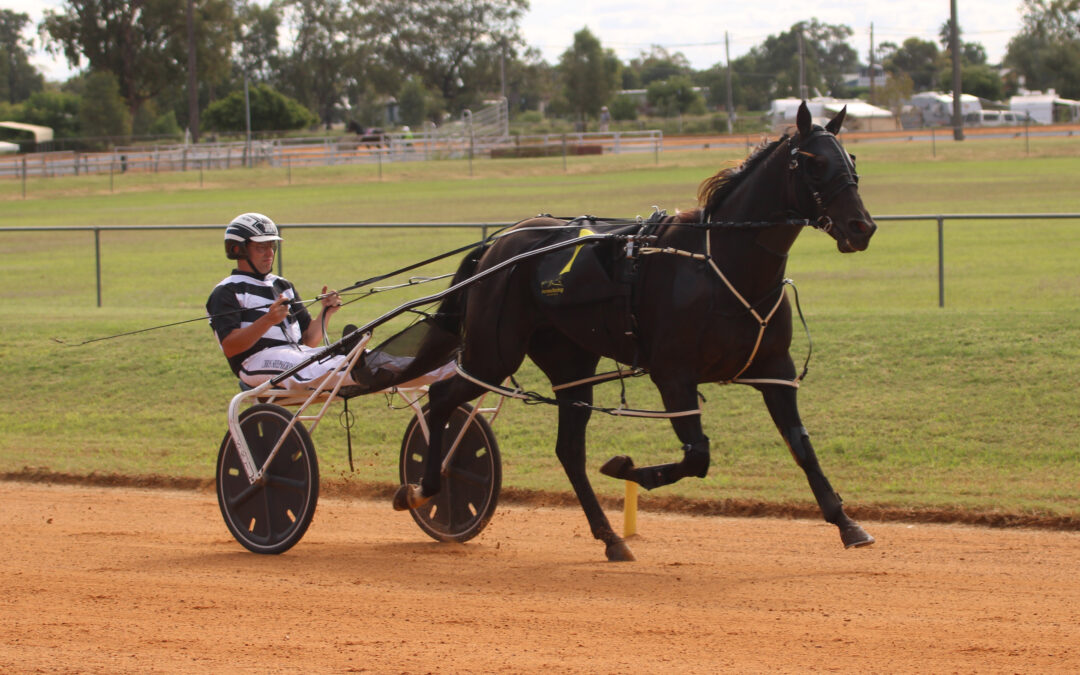 Montana Nights races to a dominant victory