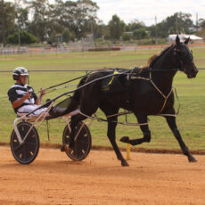 TAB times two in 2022 for Narrabri Harness Racing Club