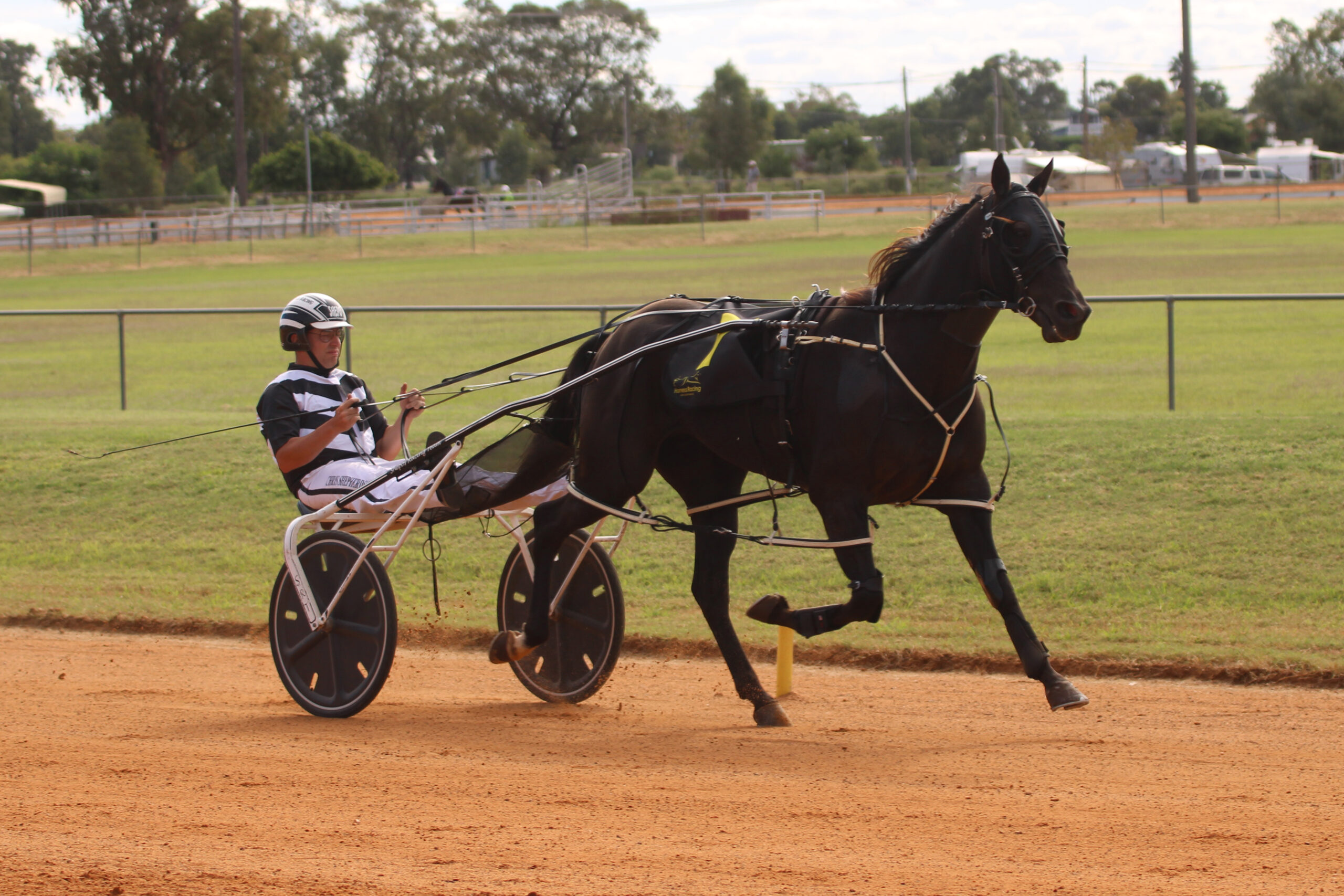 TAB times two in 2022 for Narrabri Harness Racing Club