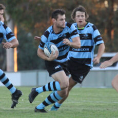 Blue Boars to host Hannaford-Southwell Shield match on Saturday