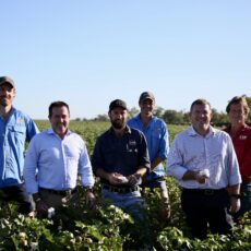 State Ministers visit the region