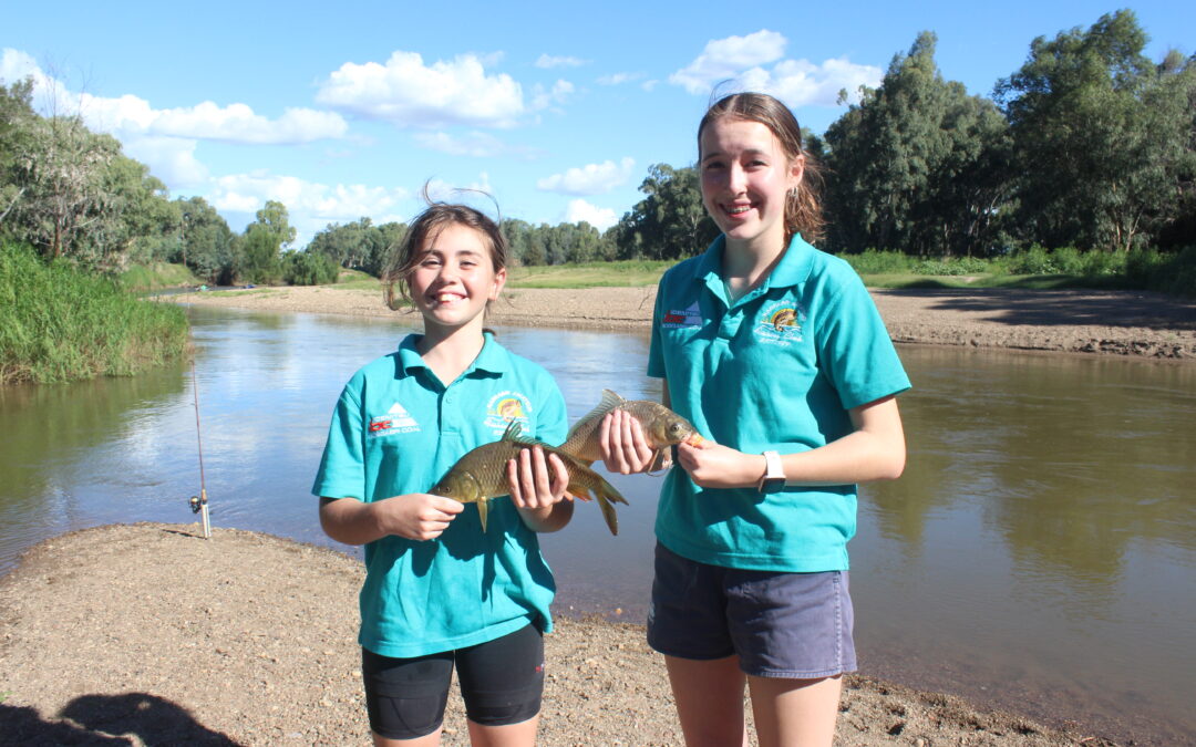 Narrabri Amateur Fishing Club to host carp muster this weekend