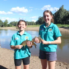 Narrabri Amateur Fishing Club to host carp muster this weekend
