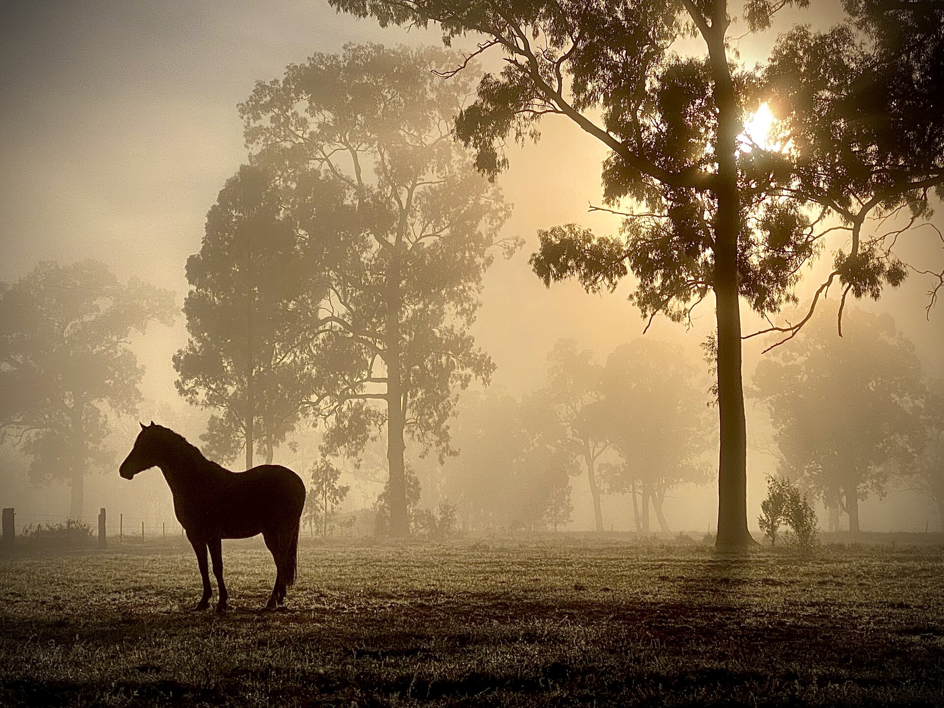 New Narrabri Shire Snapshot competition winner announced
