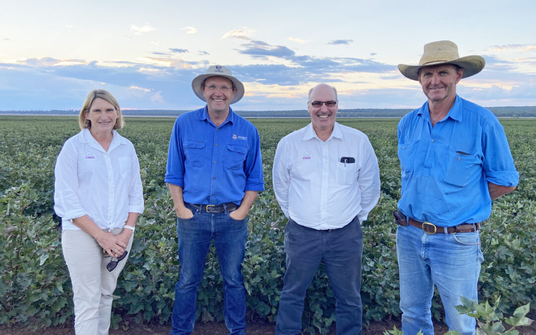 Dryland cotton research finds a new home