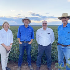 Dryland cotton research finds a new home