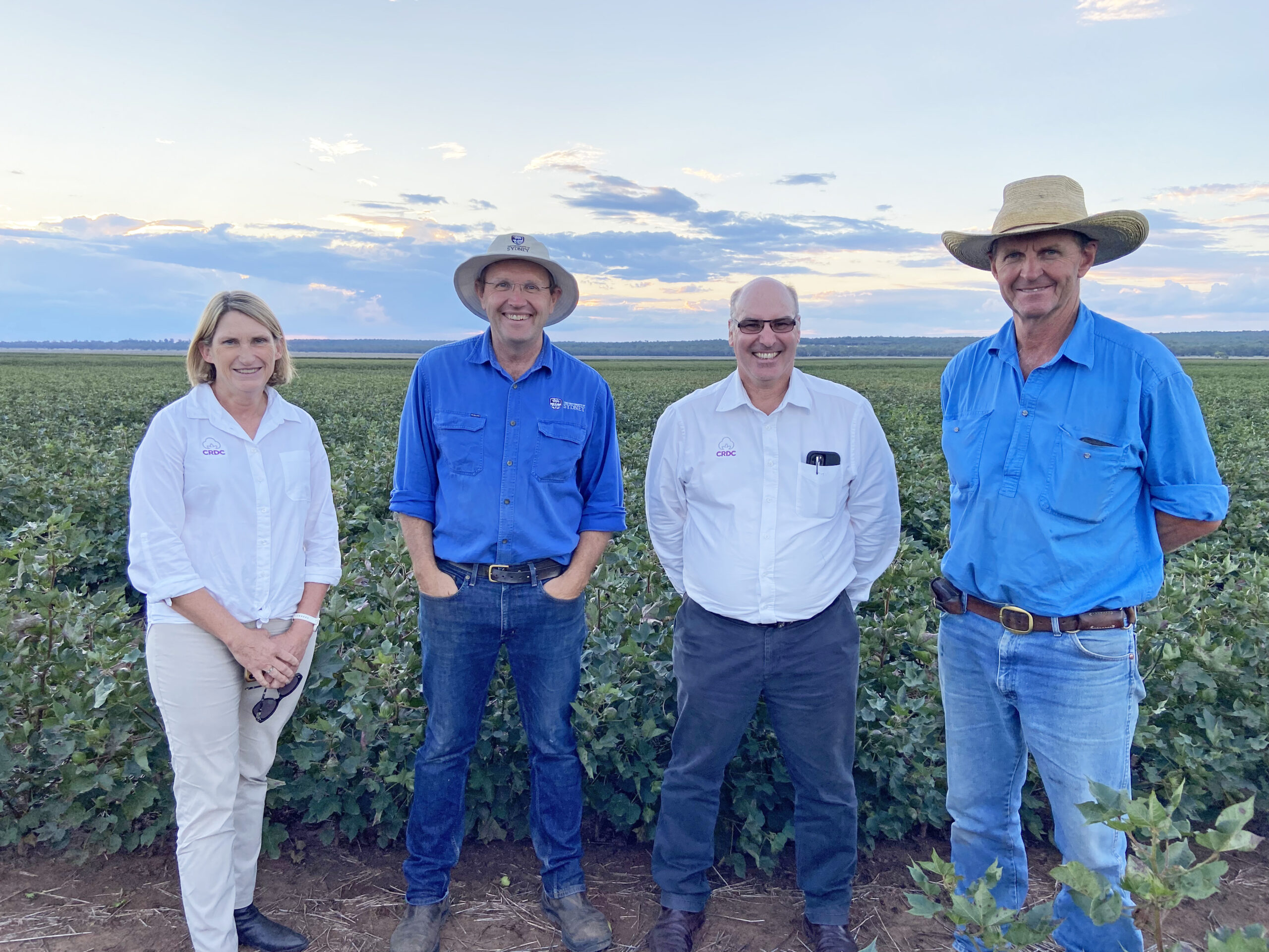 Dryland cotton research finds a new home