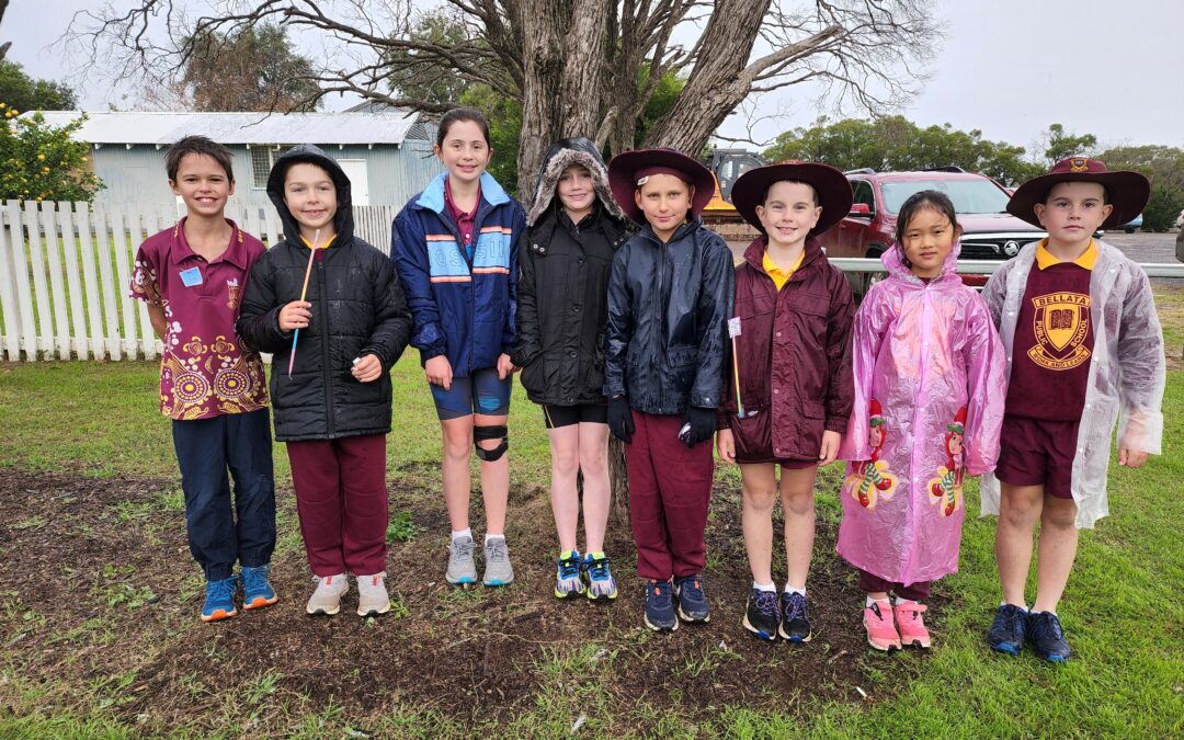Zone cross country representatives