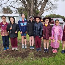 Zone cross country representatives