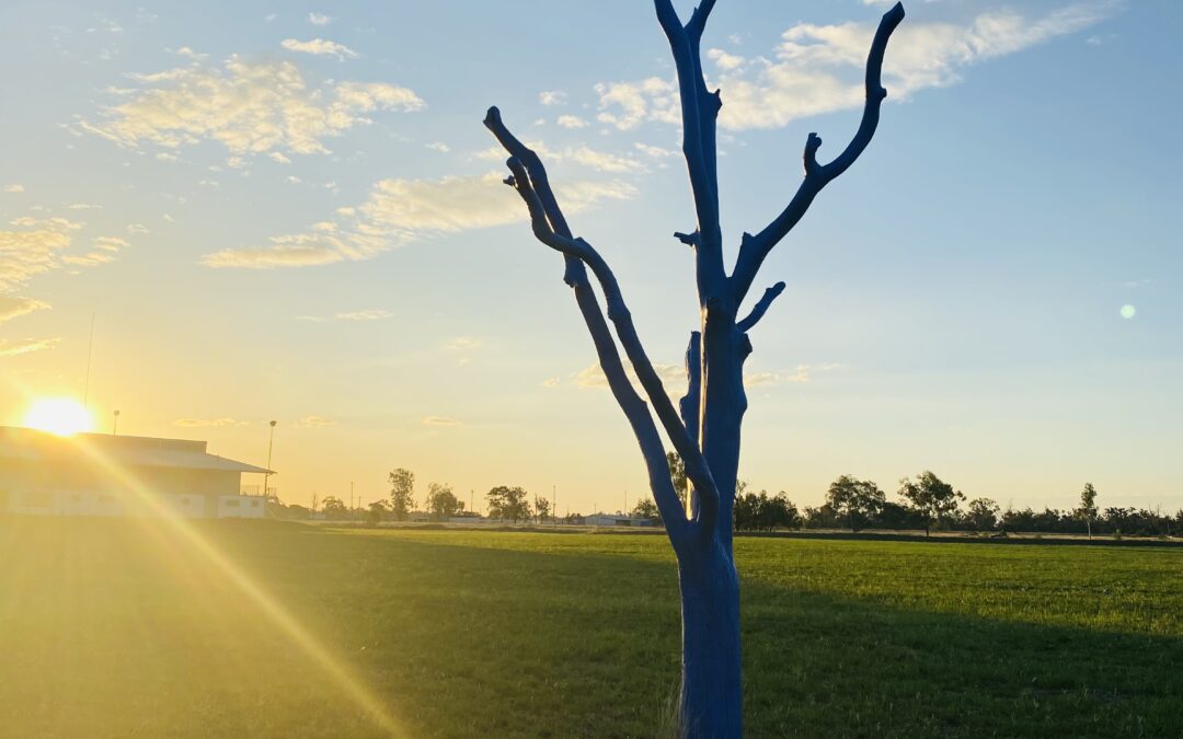 Wee Waa kicking the stigma one blue tree at a time